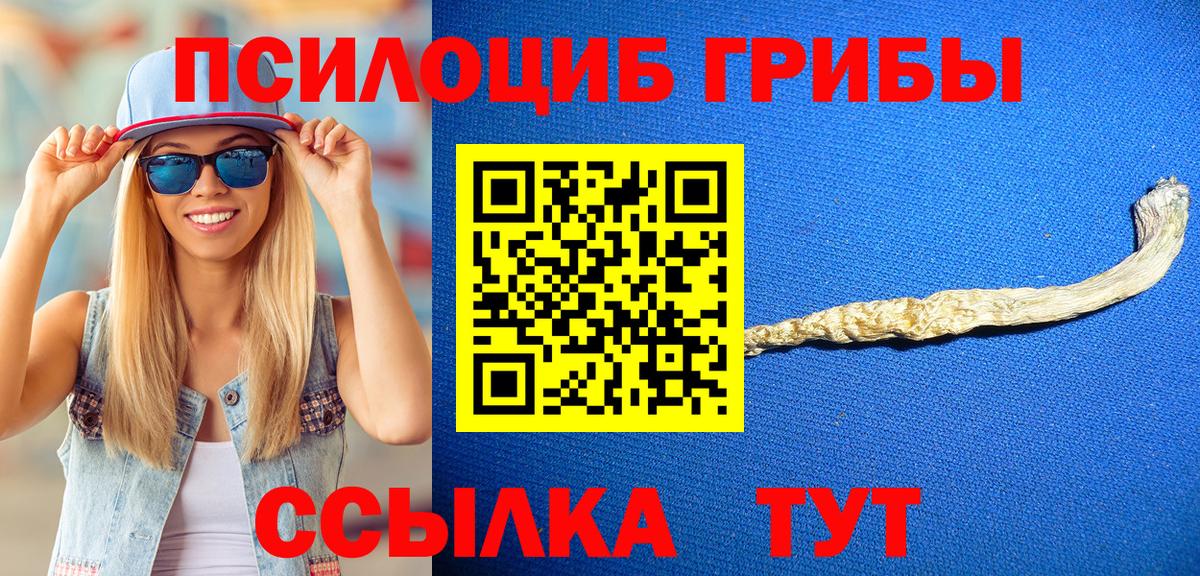Галлюциногенные грибы мицелий  Псилоцибиновые грибы Psilocybe  Вход с VPN  Кизилюрт 