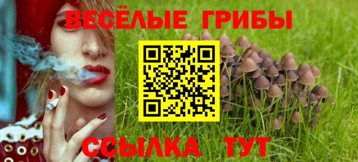 Псилоцибиновые грибы MAGIC MUSHROOMS Кизилюрт